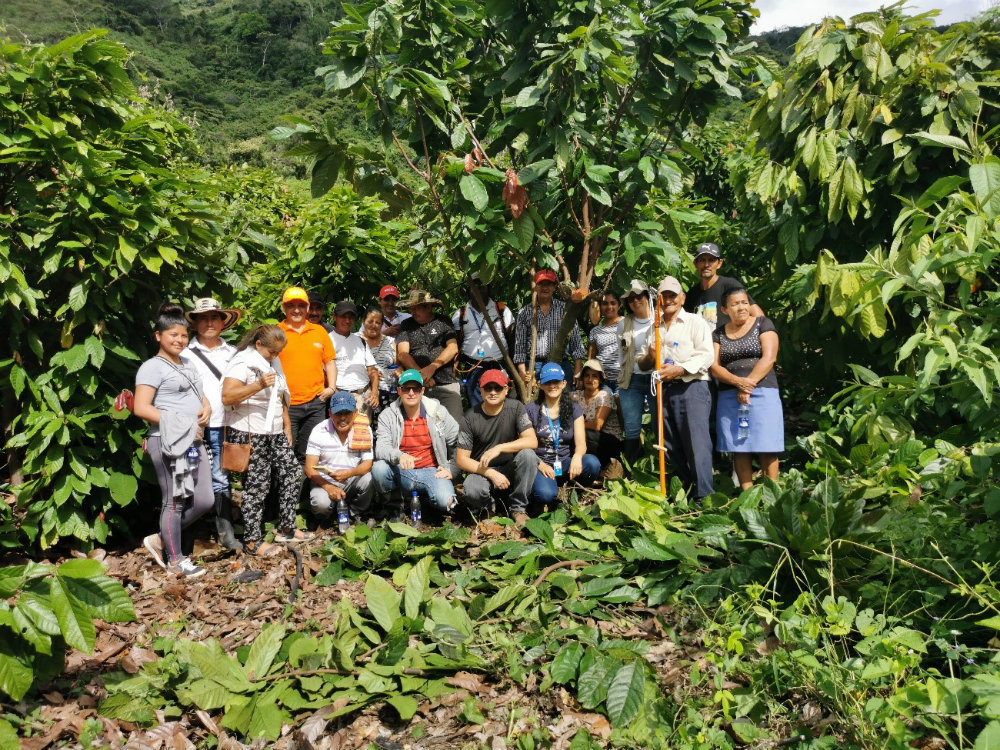Fortalecimiento del nodo de innovación en cacao en el TISERE Policarpa