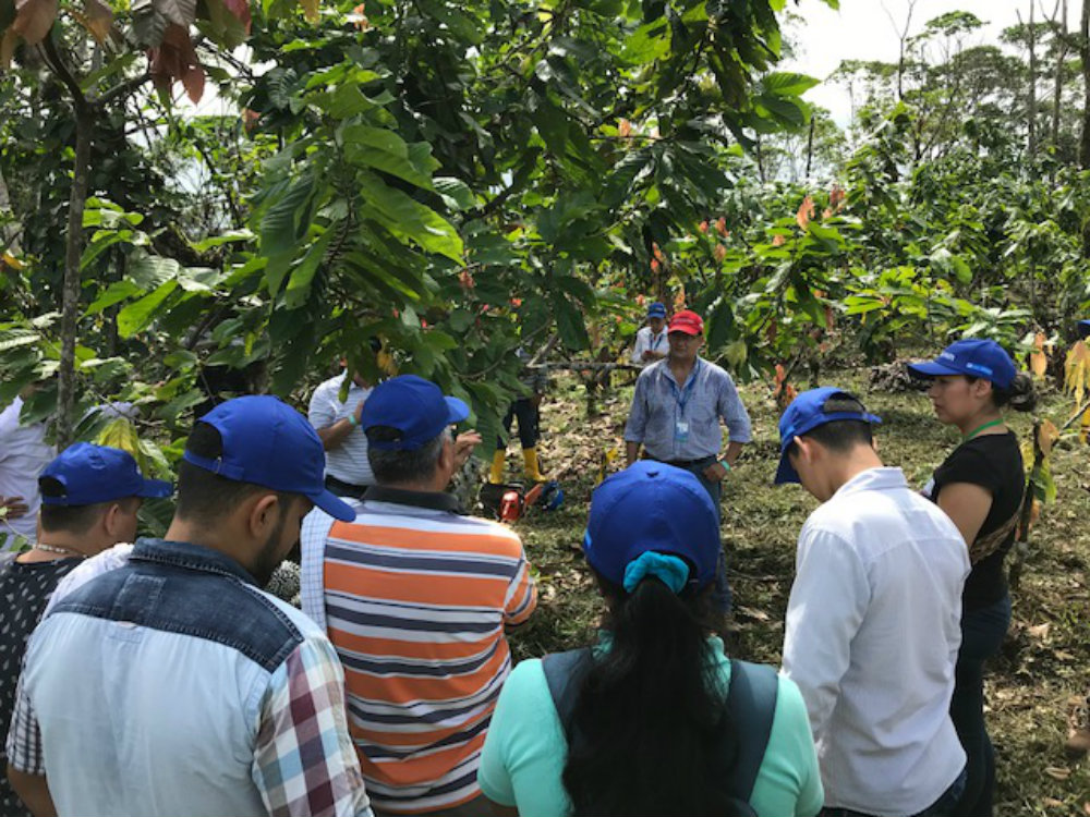 AGROSAVIA desarrolla Jornada de Actualización Tecnológica  en cacao en Caquetá