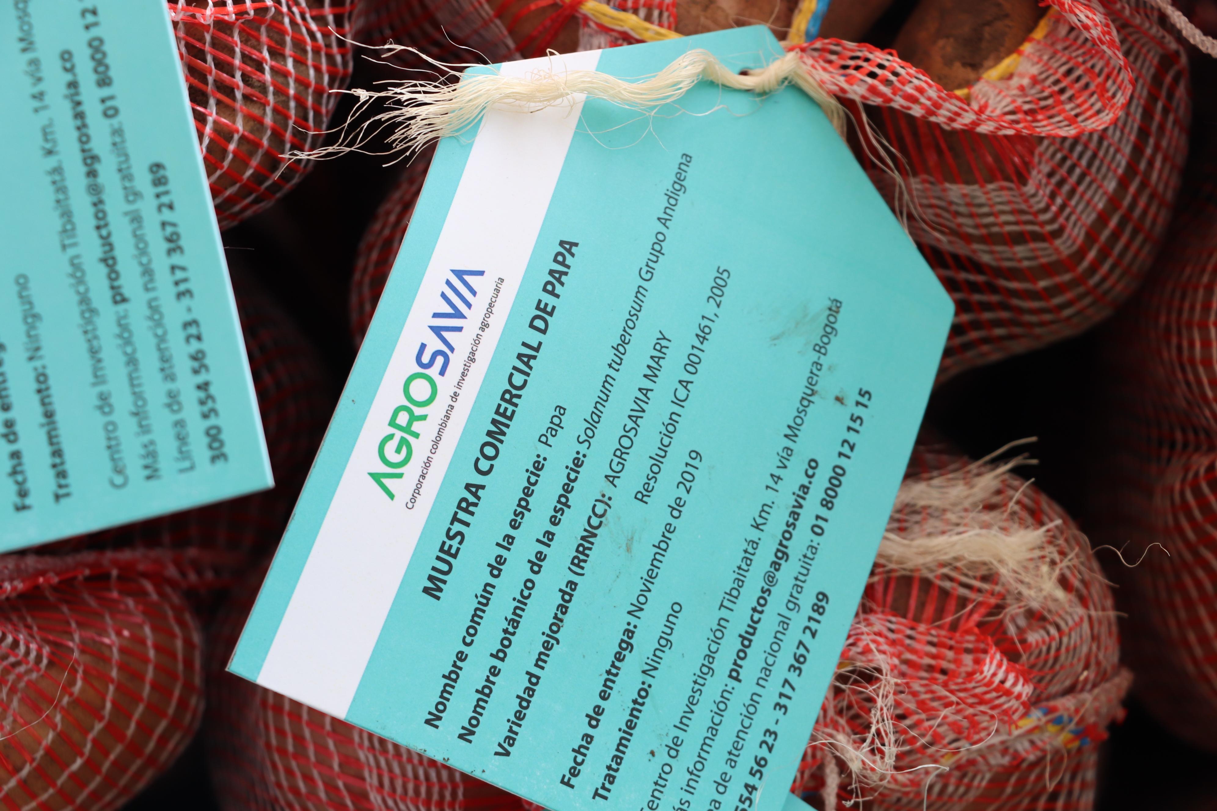 Se Lanzó La Variedad De Papa AGROSAVIA Mary Ante Productores De Cundinamarca Y Boyacá1
