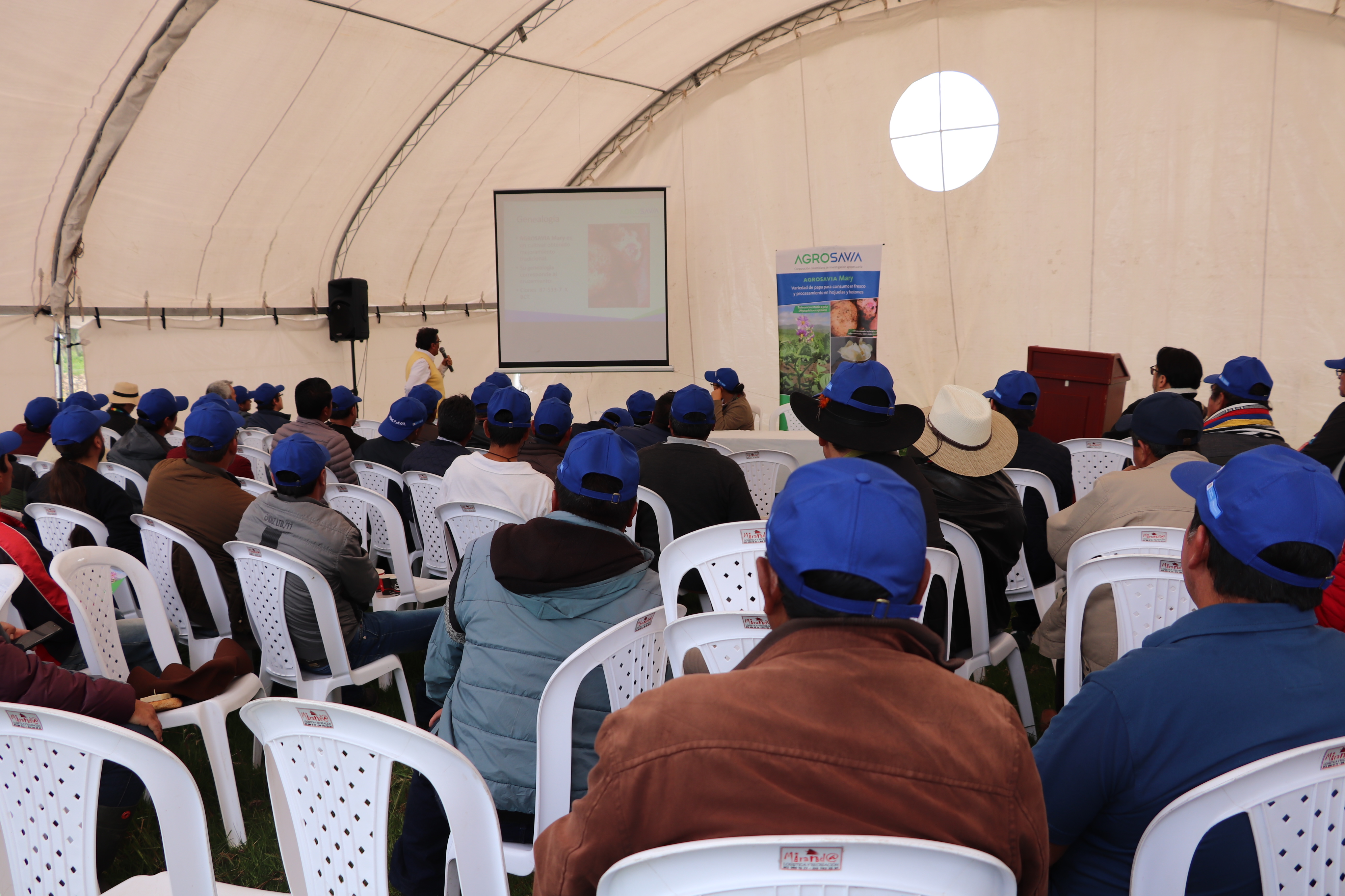 Se Lanzó La Variedad De Papa AGROSAVIA Mary Ante Productores De Cundinamarca Y Boyacá3