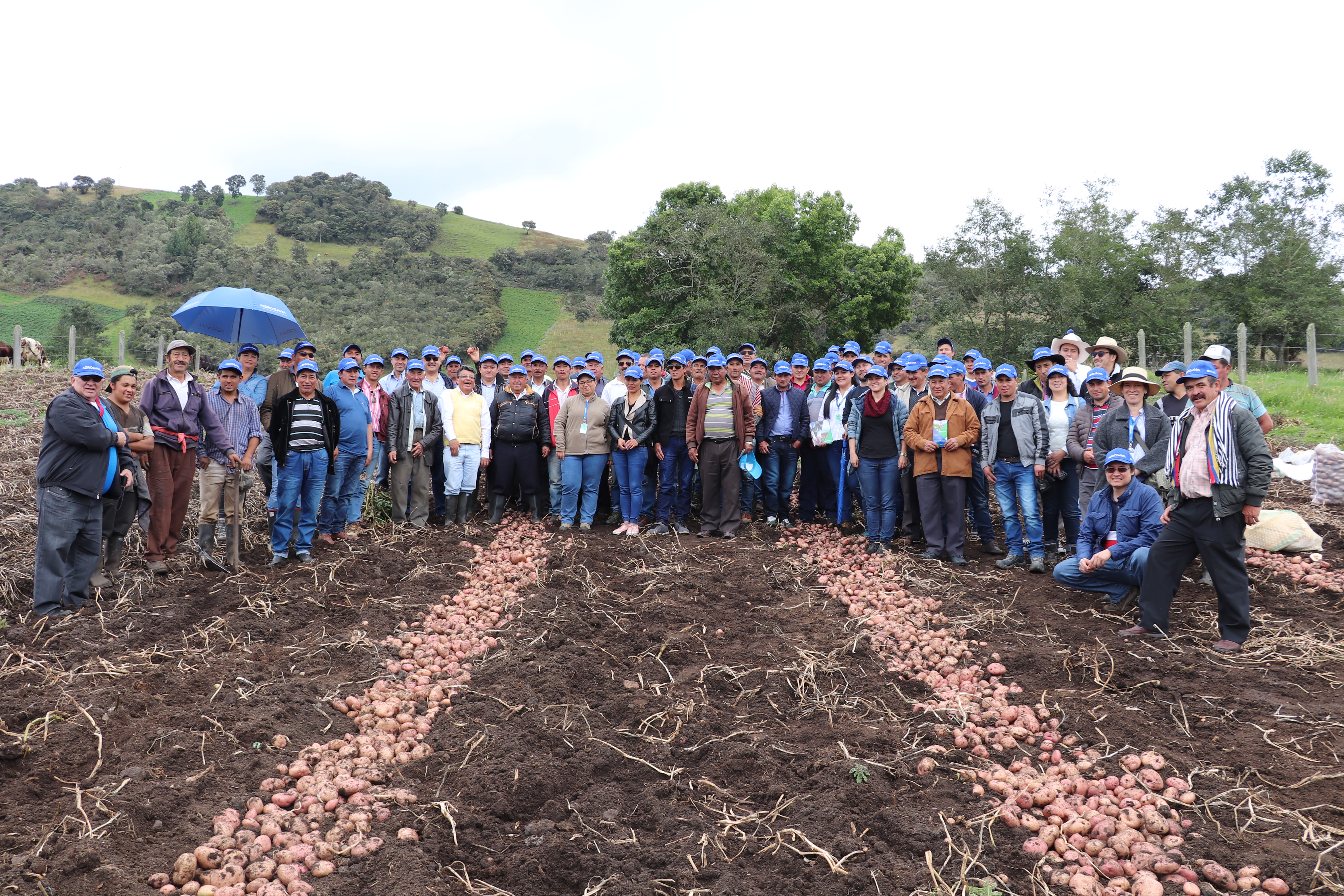 Se Lanzó La Variedad De Papa AGROSAVIA Mary Ante Productores De Cundinamarca Y Boyacá6