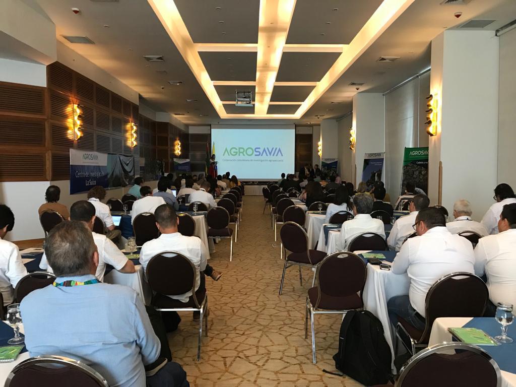 AGROSAVIA Lideró Taller Internacional Cacao1