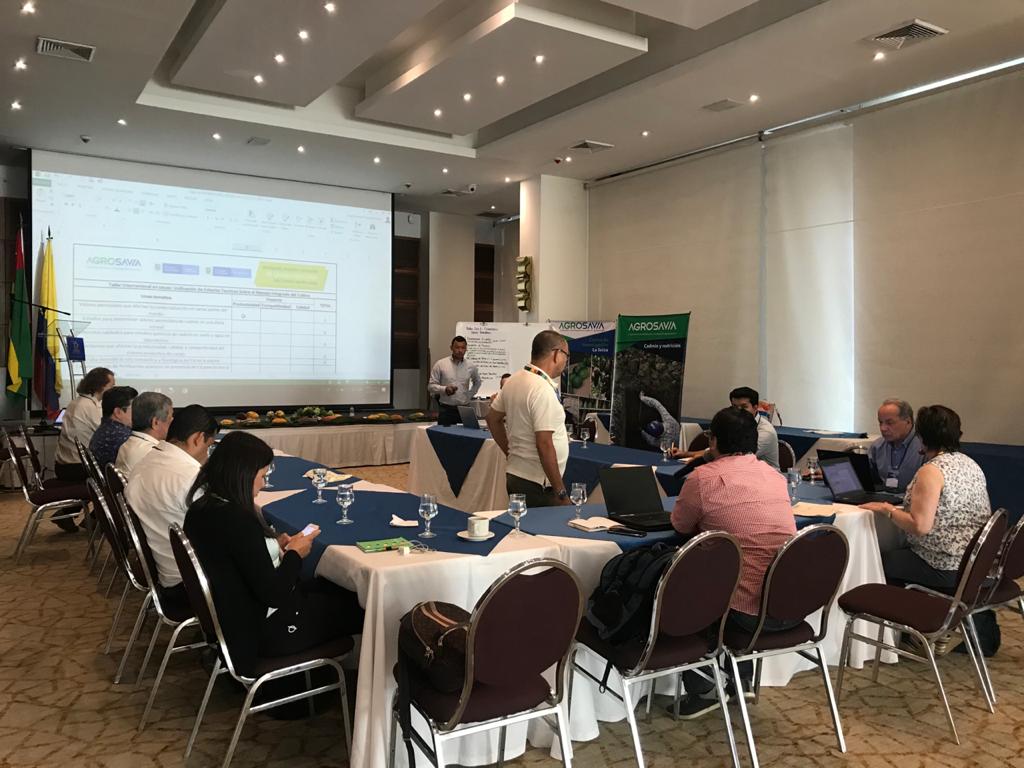 AGROSAVIA Lideró Taller Internacional Cacao2