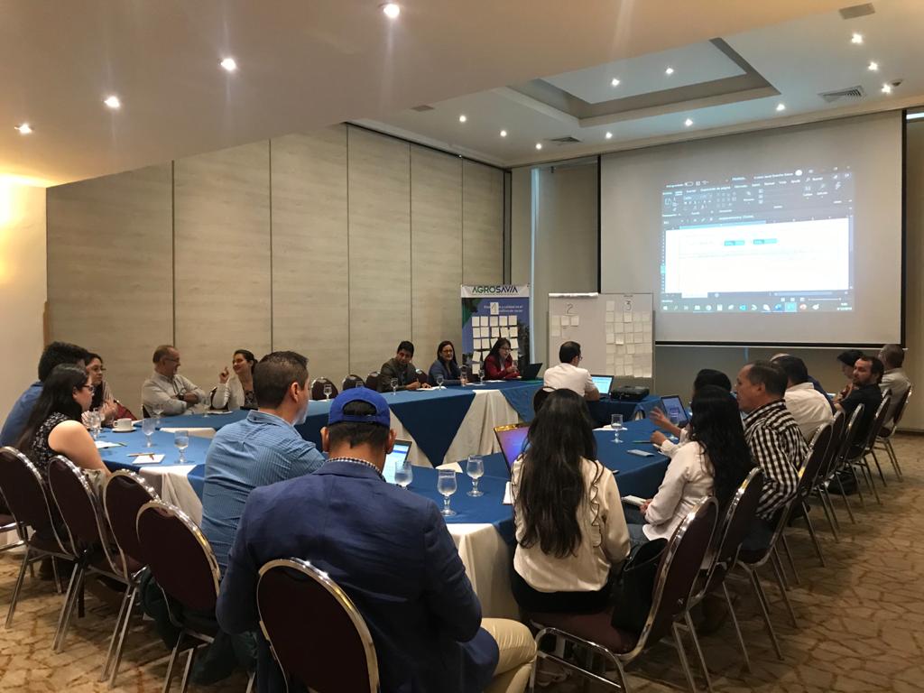 AGROSAVIA Lideró Taller Internacional Cacao5