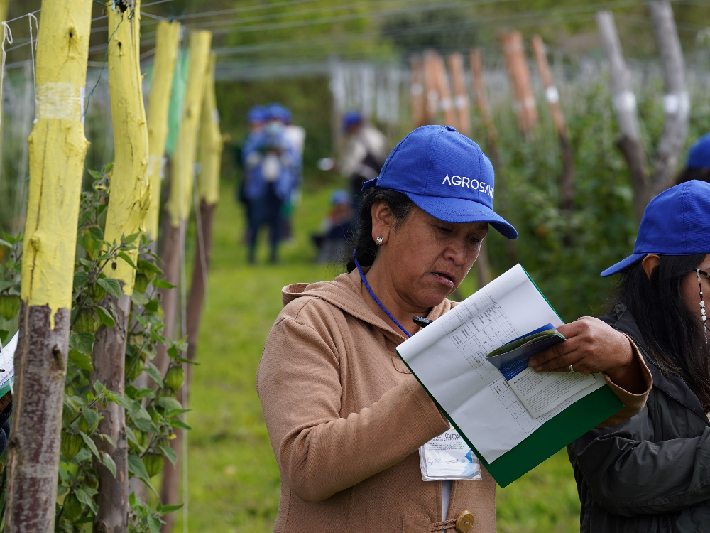 AGROSAVIA proposes strategies and the use of microorganisms