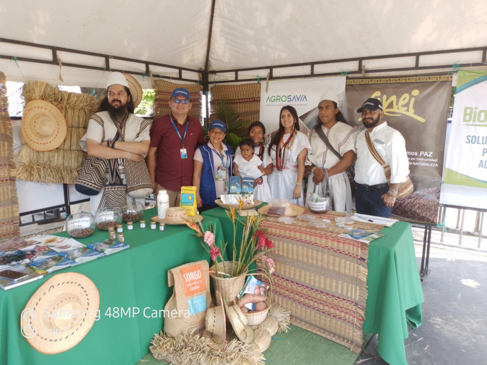 Comunidad Arhuaca es primera en obtener cosecha de fríjol biofortificado agroecológico en la Sierra Nevada de Santa Marta