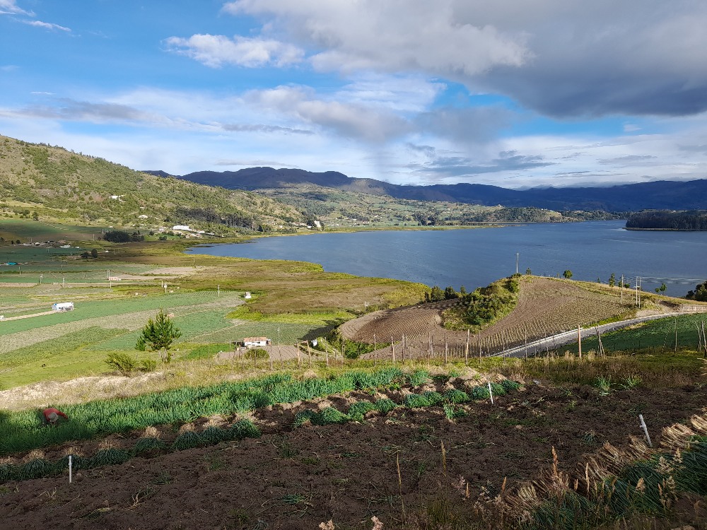 Investigación de AGROSAVIA revela los retos y oportunidades de la reconversión productiva en la cuenca del lago de Tota