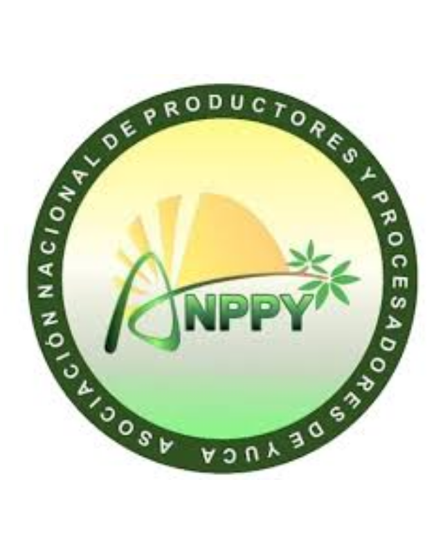 Asociación de Productores y Procesadores de Yuca