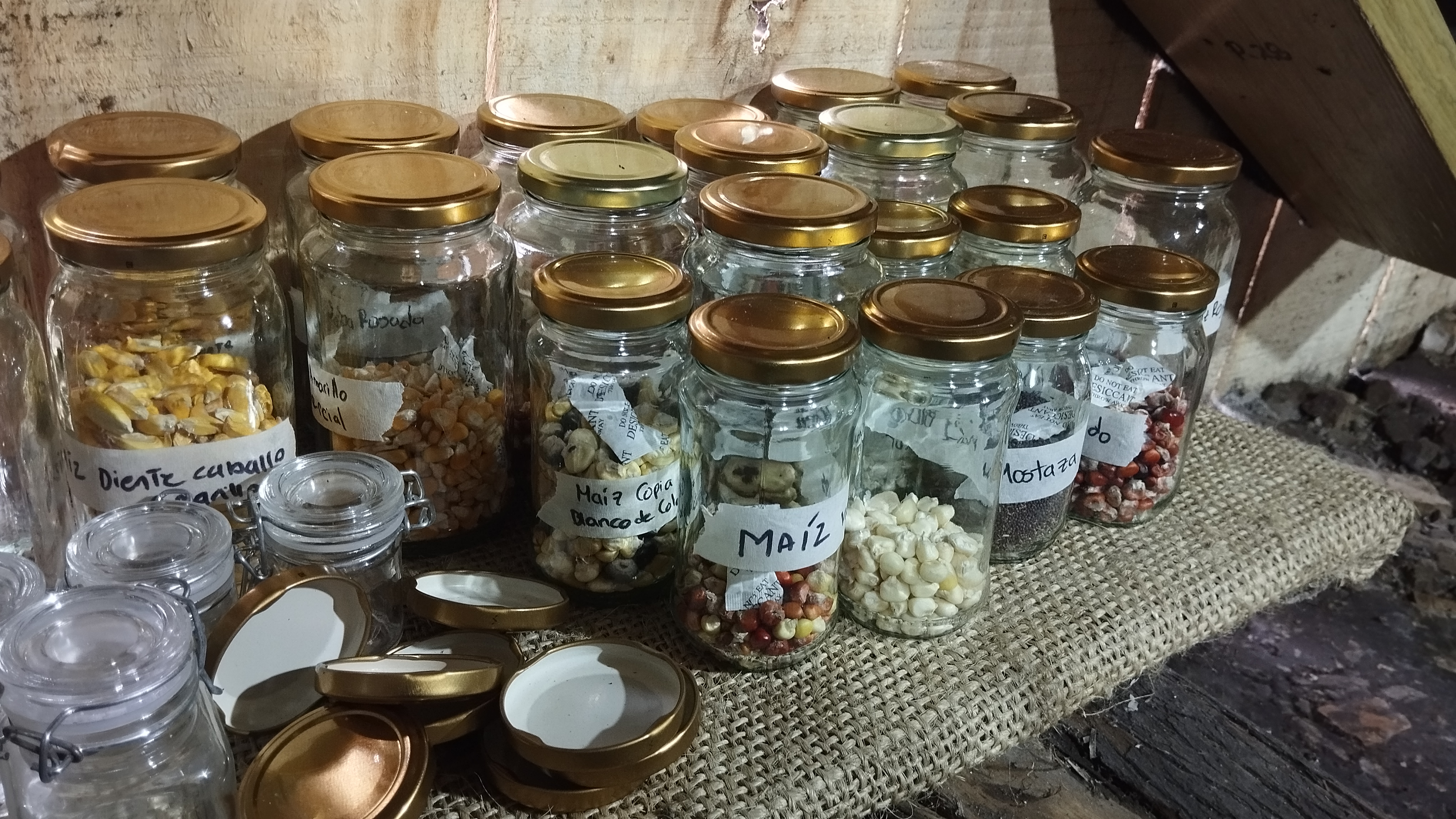 Bancos locales y casas comunitarias de semillas