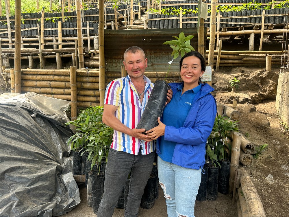 Agricultores De Herveo, Tolima Reciben Plántulas De Aguacate En El Marco Del Proyecto Apropiación Social Del Conocimiento2 AGROSAVIA