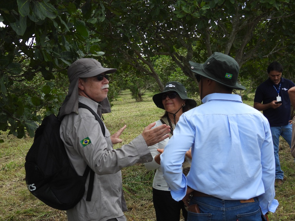 Gira De Intercambio Técnico En La Cadena De Valor De Marañón8 AGROSAVIA