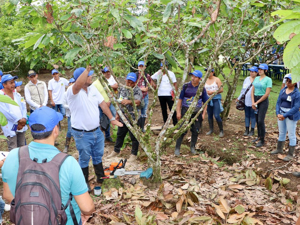 PV Territorial Putumayo5 AGROSAVIA