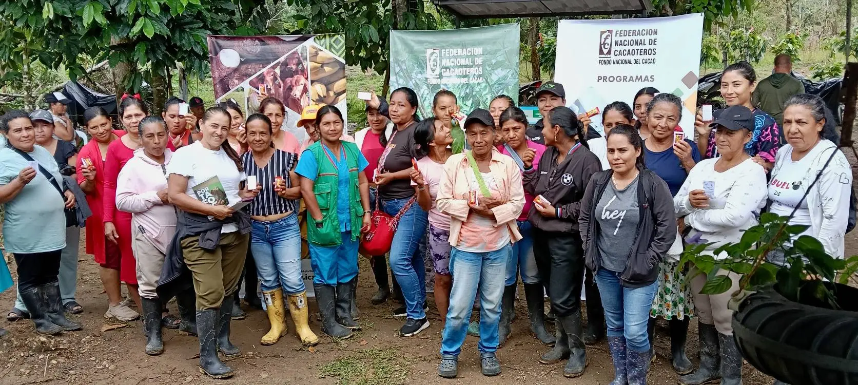 Cacao, Plátano, Meliponas Y Memoria Nasa5 Fotor Webp