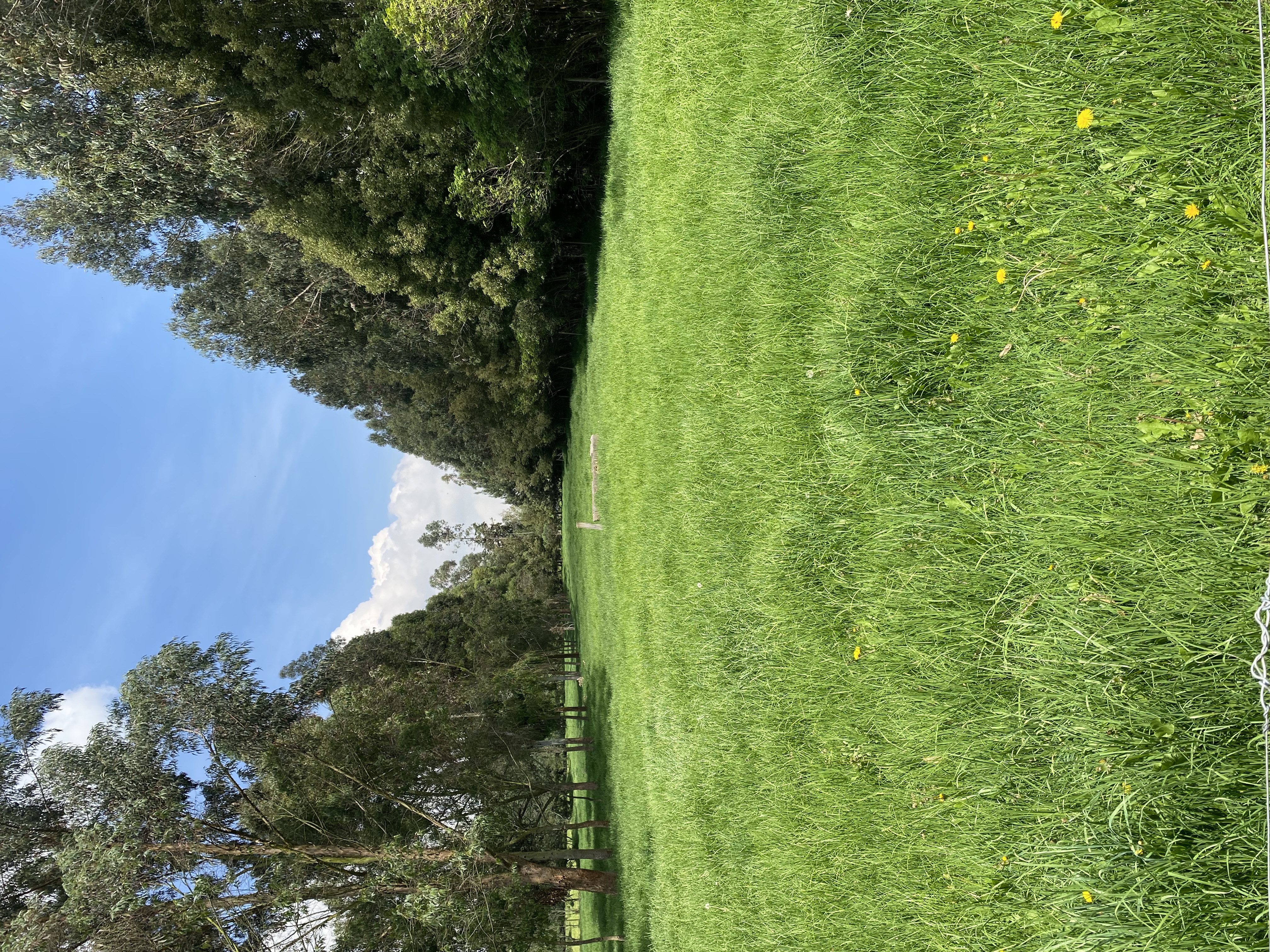 IMG 0069