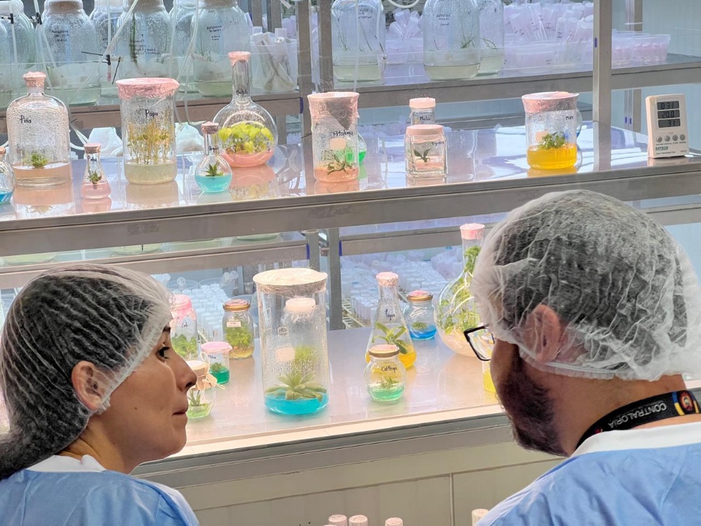 Contraloría Reconoce Avances De AGROSAVIA En La Producción De Semillas Claves Para La Seguridad Alimentaria3 AGROSAVIA