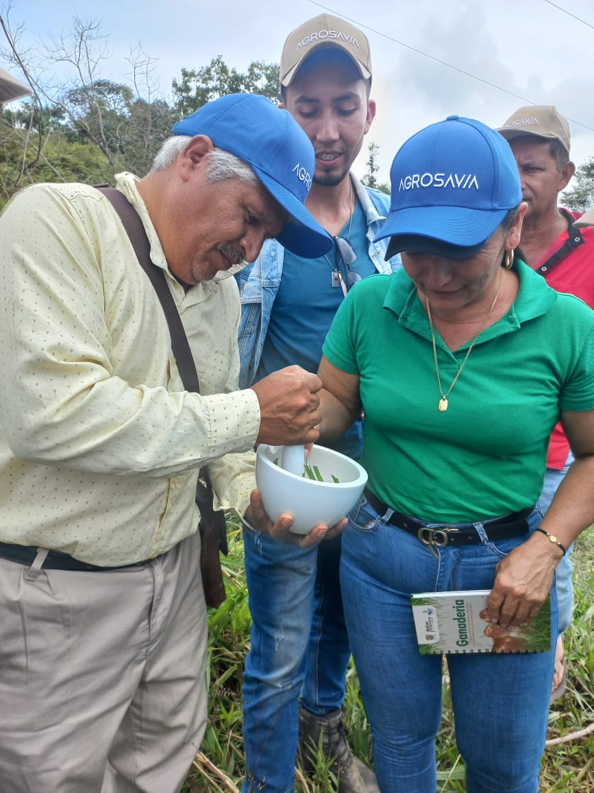 Maceración De Muestras 2