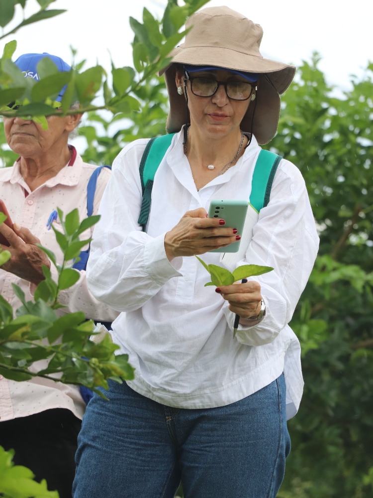 Primera Gira Técnica Nacional De Citricultores AGROSAVIA ICA (3) AGROSAVIA