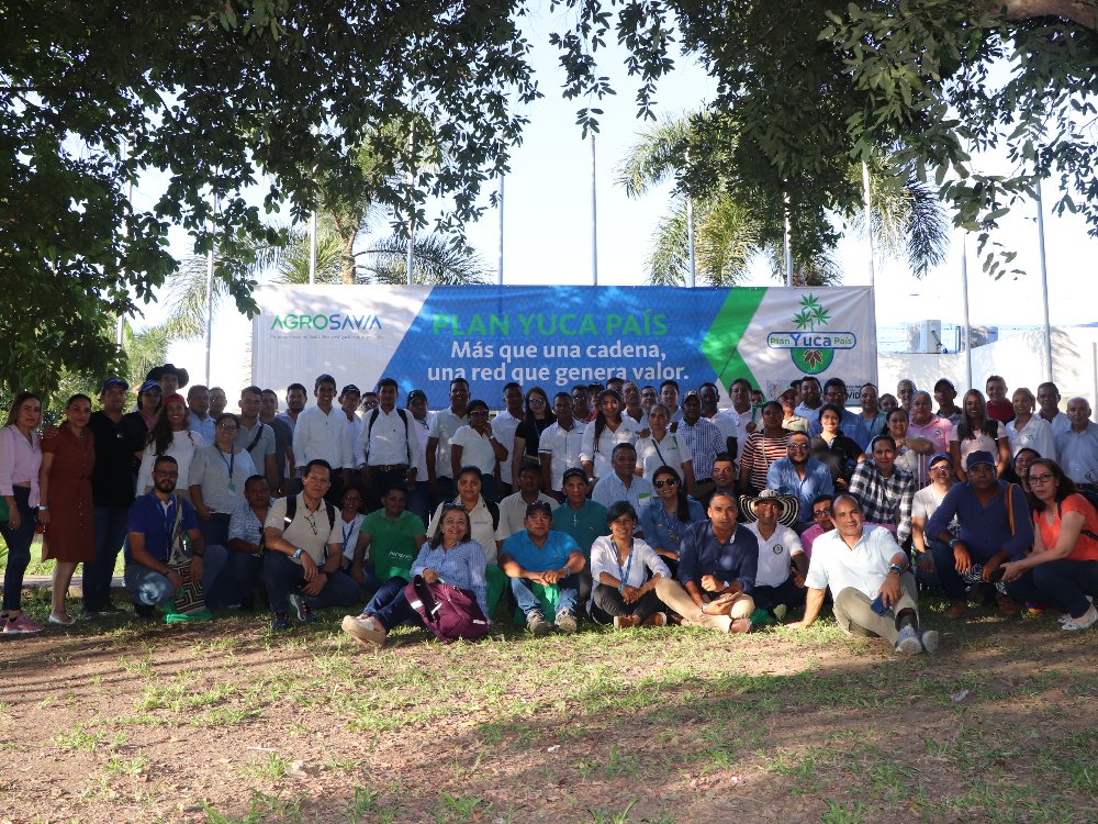 Avanzando hacia la formalización de la cadena de la yuca en Colombia en los encuentros de actores realizados en el marco de Yuca País - Fase II