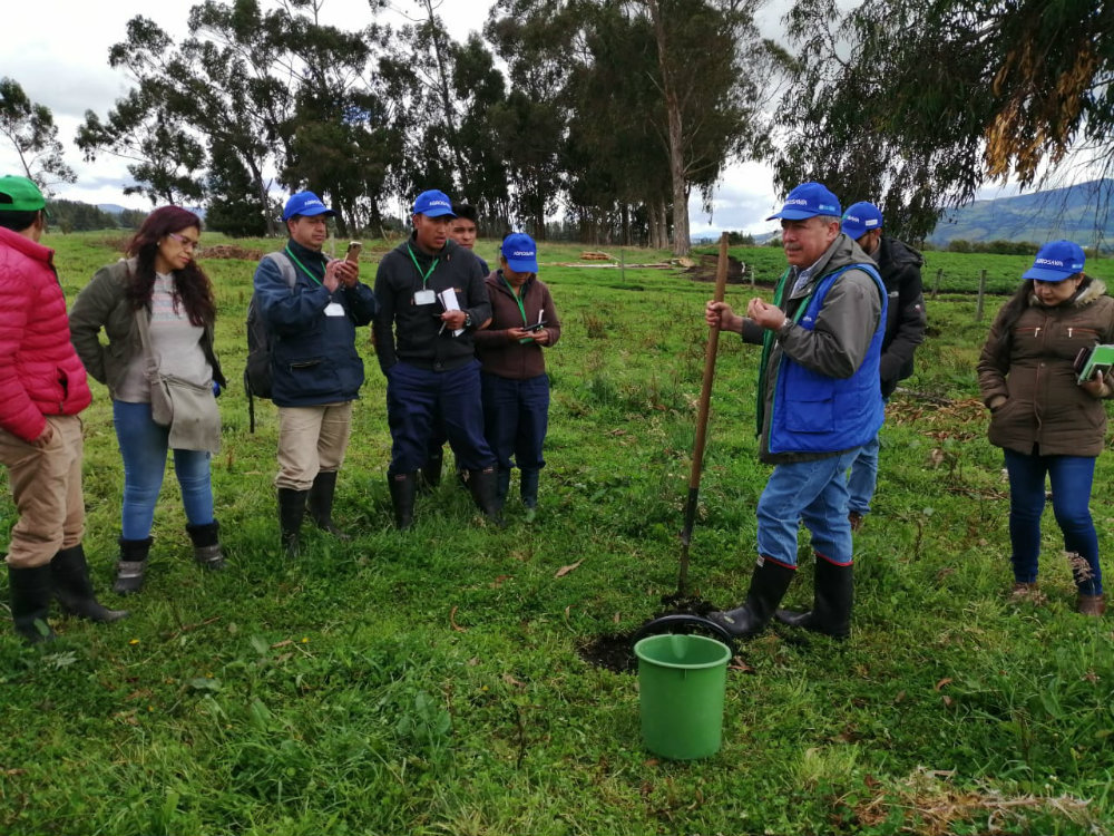 Agrosavia Mary, la nueva alternativa para el papicultor nariñense