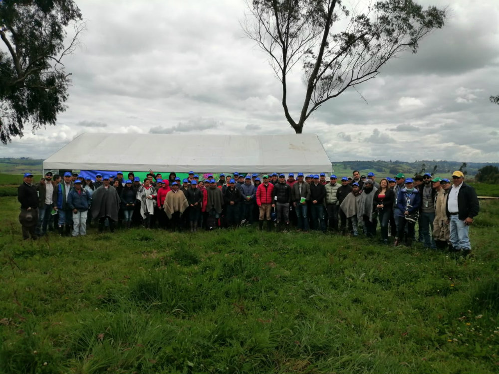 Agrosavia Mary, La Nueva Alternativa Para El Papicultor Nariñense2 AGROSAVIA