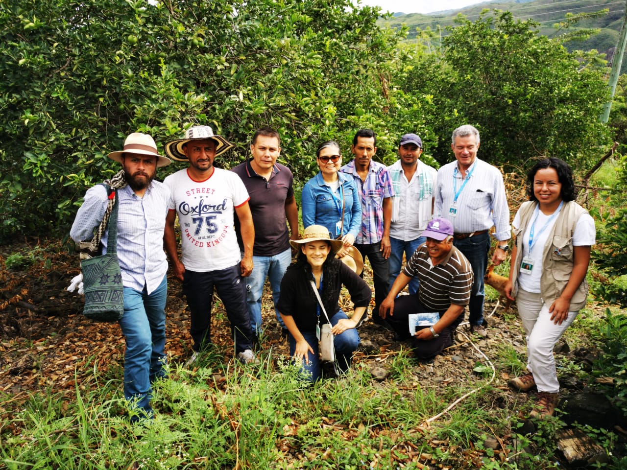 Relacionamiento Interinstitucional Para La Innovación En El Territorio Nariñense3