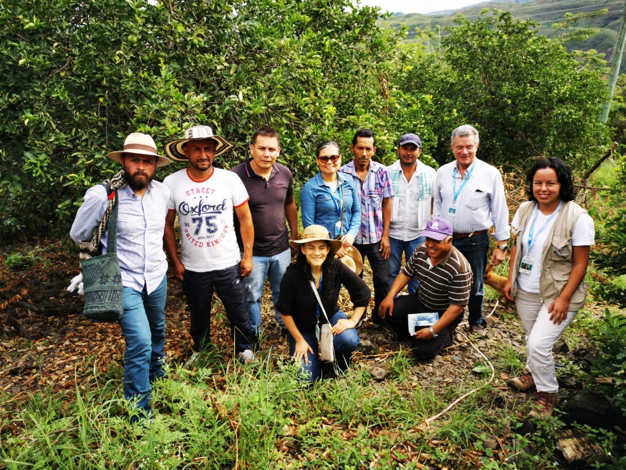 Relacionamiento Interinstitucional Para La Innovación En El Territorio Nariñense3