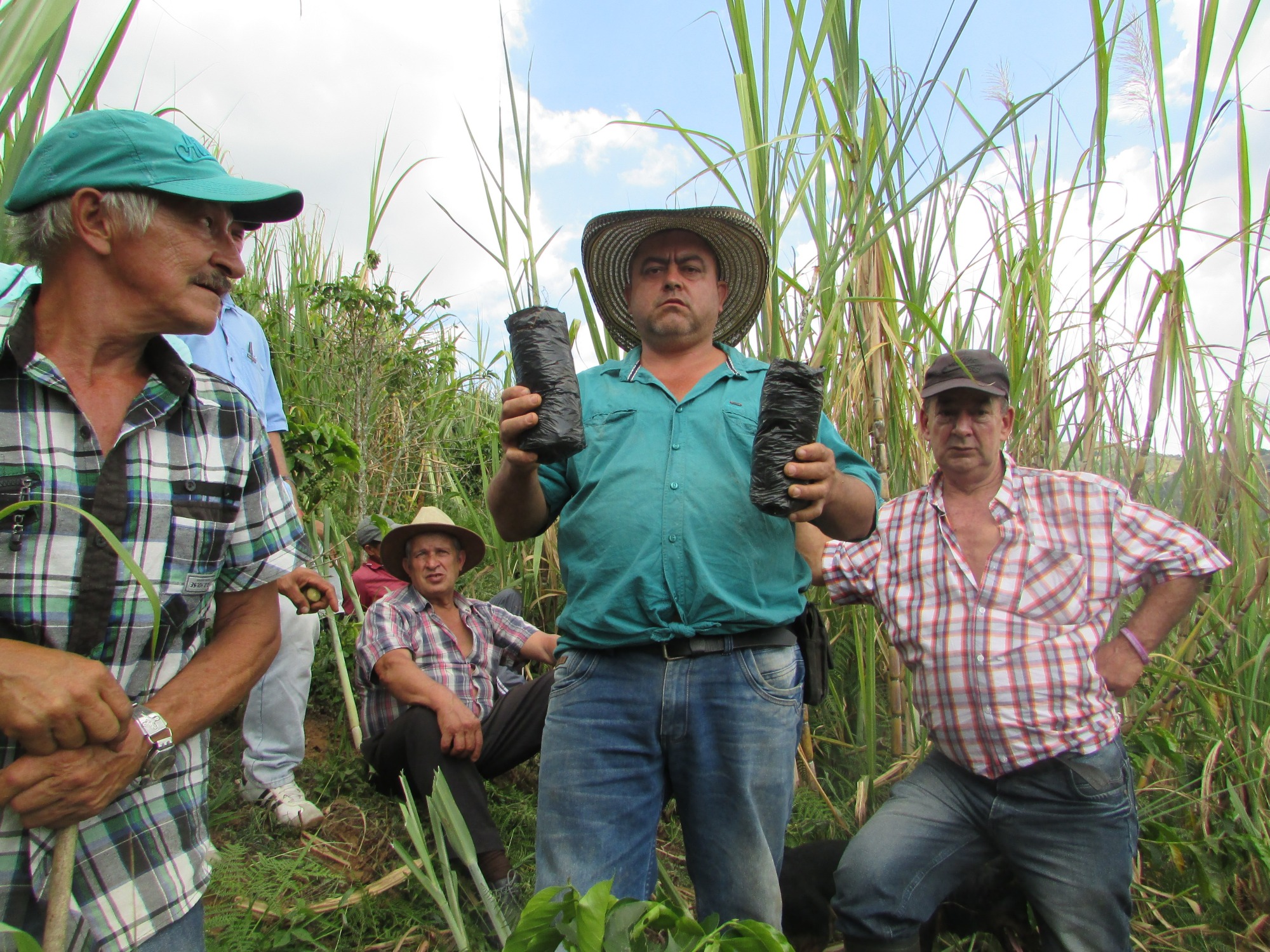 AGROSAVIA y la Alcaldía de Medellín contribuyen al renacer panelero en el corregimiento de San Sebastián de Palmitas
