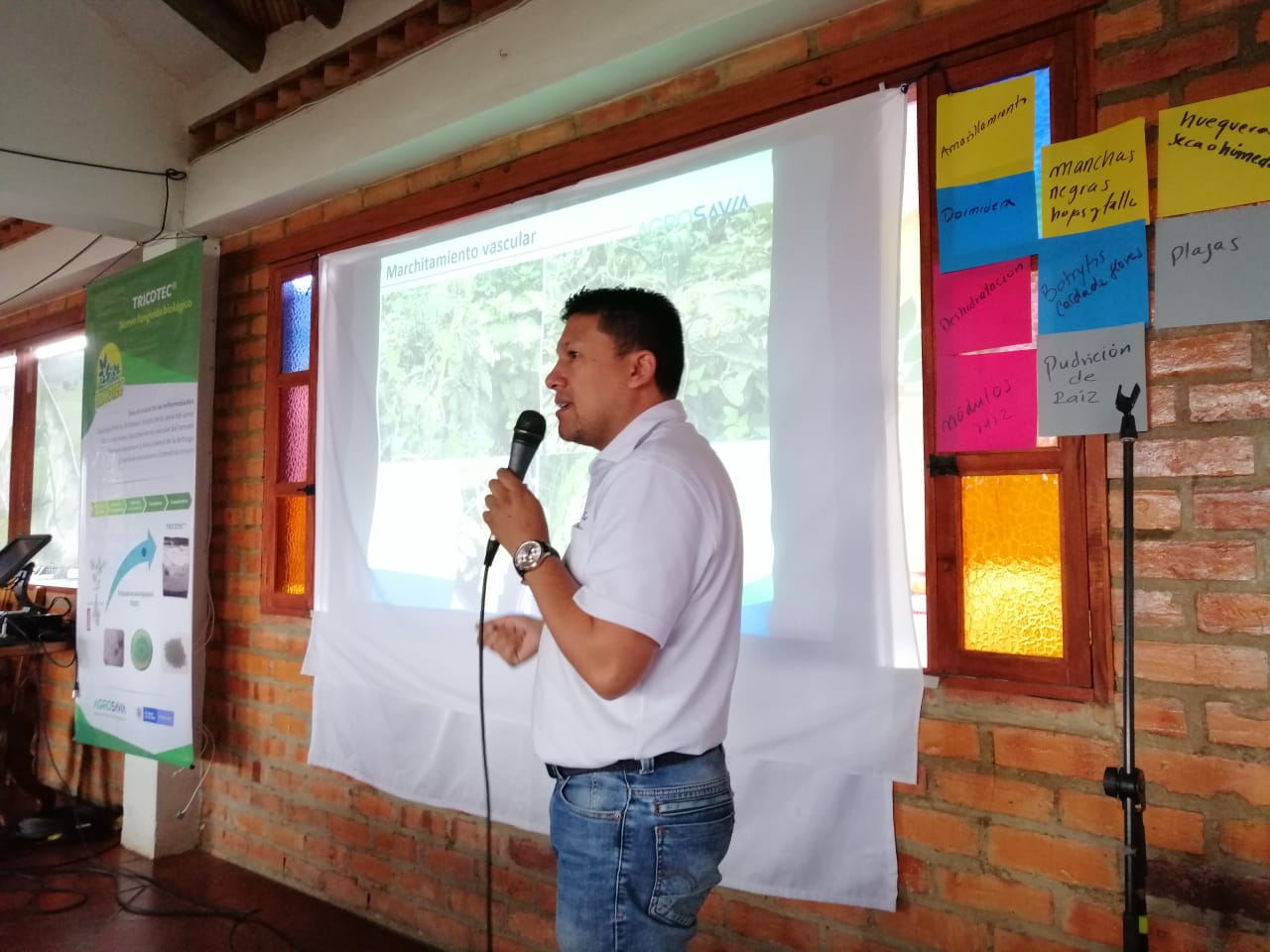 TRICOTEC Llega A Productores De Tomate De Villa De Leyva, Boyacá1
