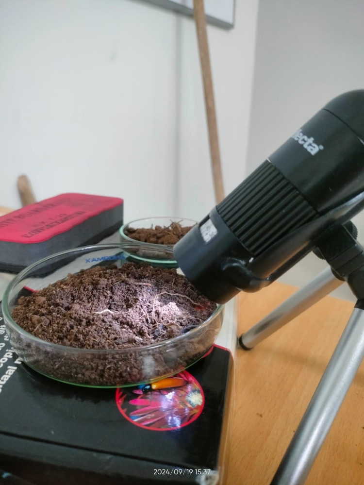 AGROSAVIA Lidera La Investigación Sobre El Cadmio En Cacao En El 3Er Congreso Internacional 6 AGROSAVIA