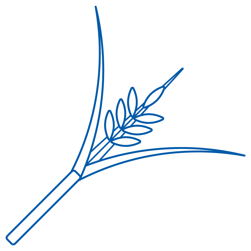 Manejo De Arvenses