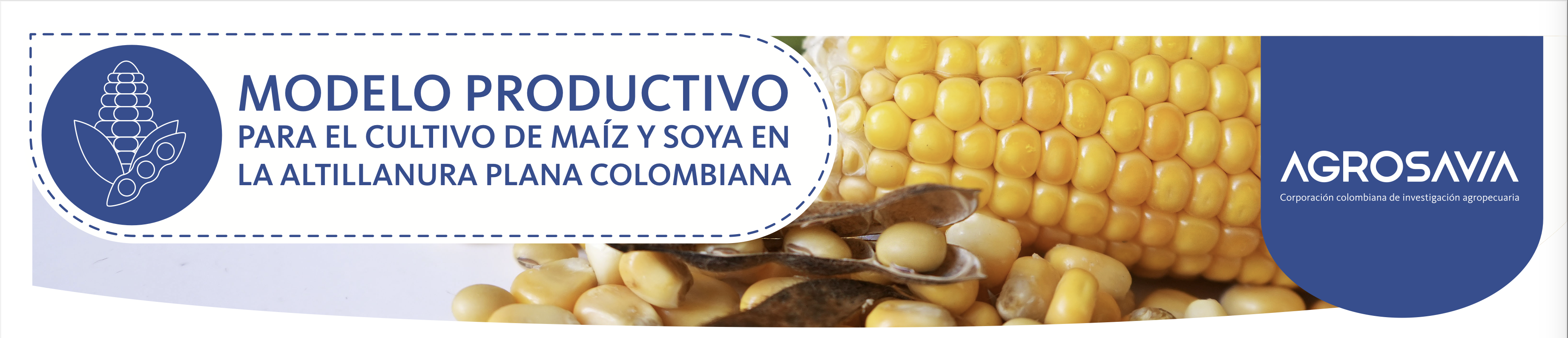 Imagen Póster Maíz Y Soya