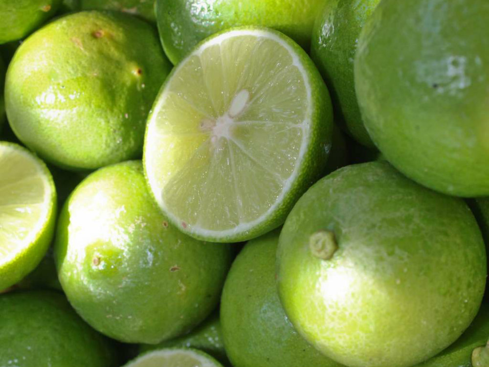 Citricos AGROSAVIA