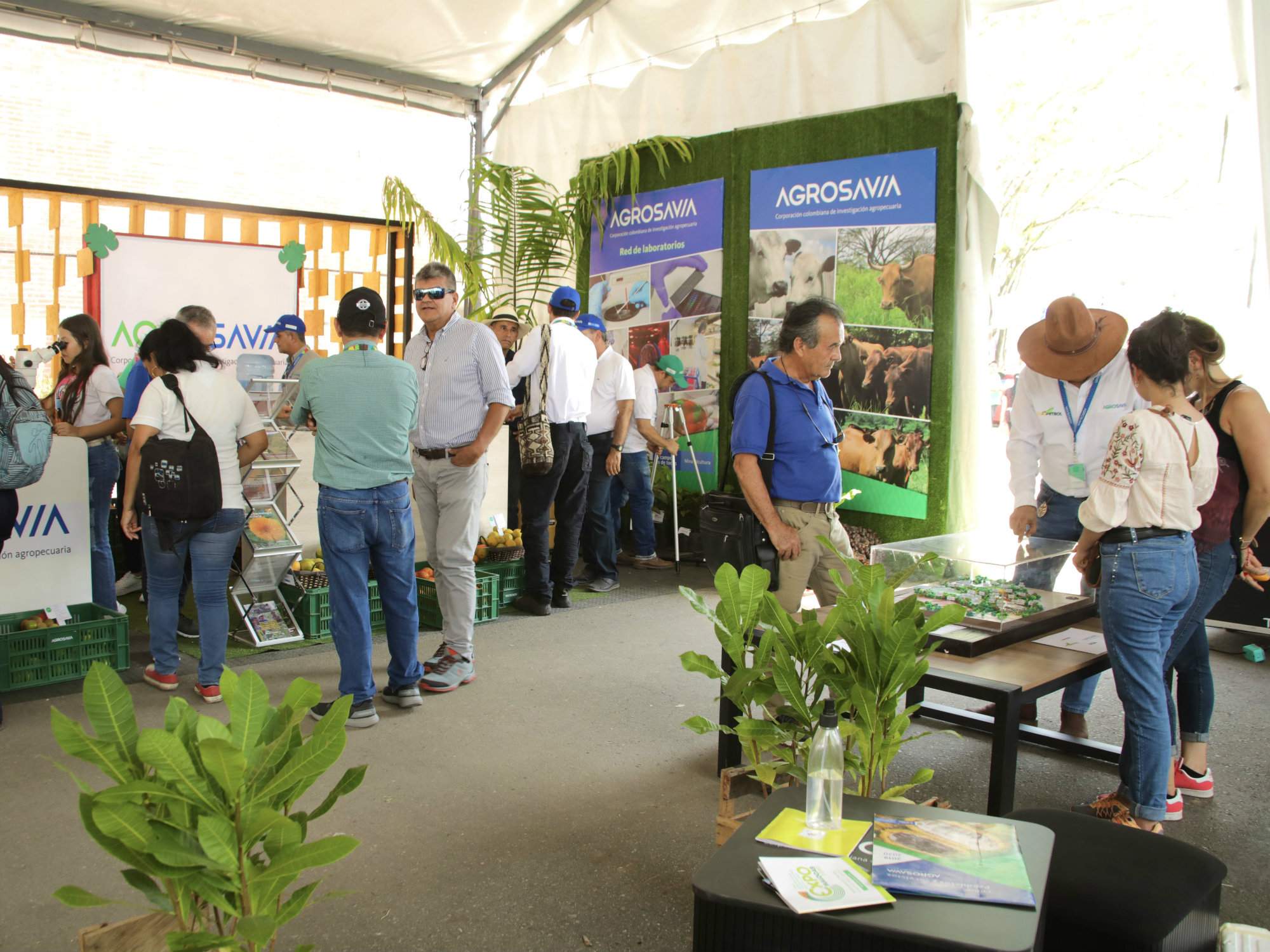 Aliados en el camino Expomalocas 2020