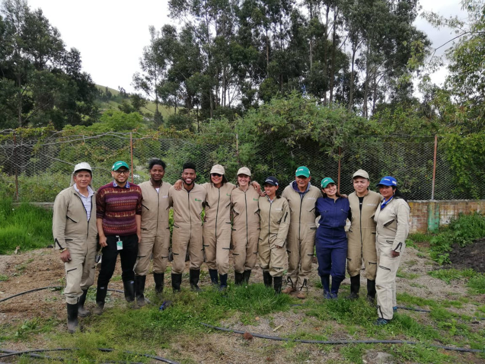 Nariño Reverdece Con AGROSAVIA4 AGROSAVIA
