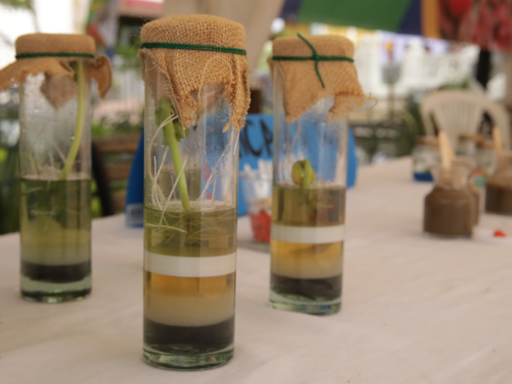 Expoagrosavia225 AGROSAVIA