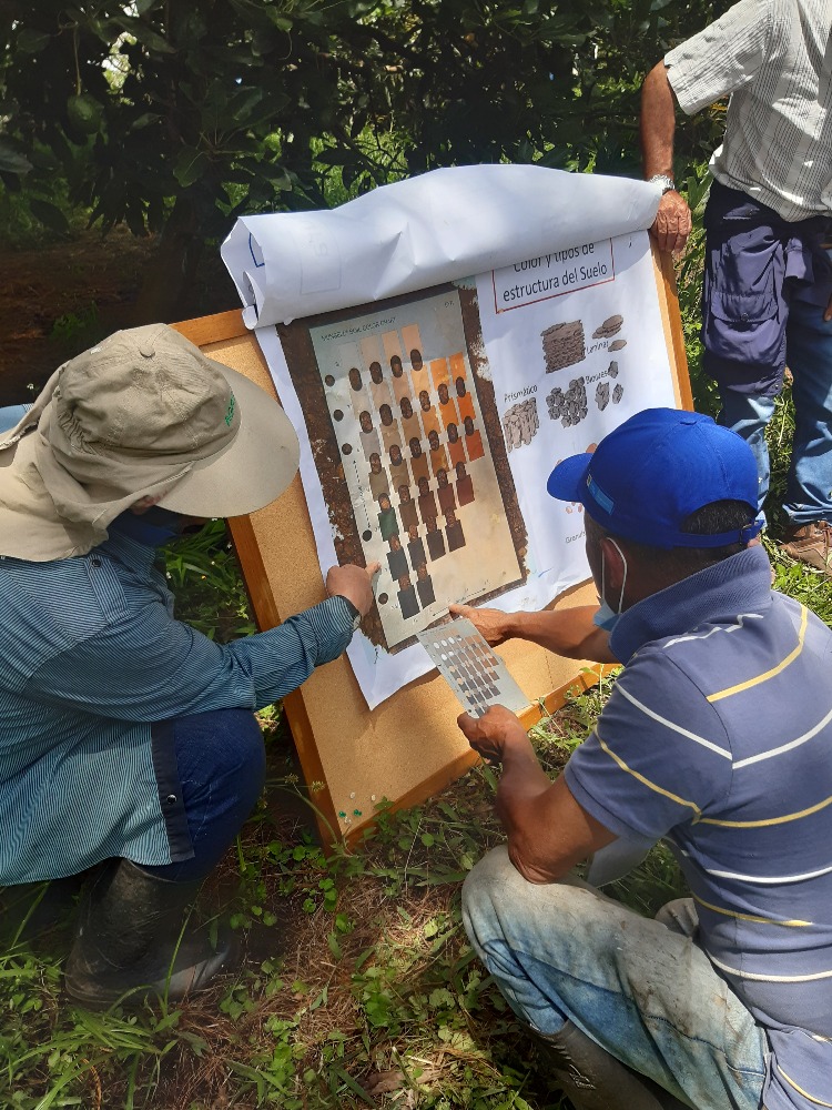 AGROSAVIA Presente En El Simposio Mundial Sobre Suelos Y Agua3 AGROSAVIA
