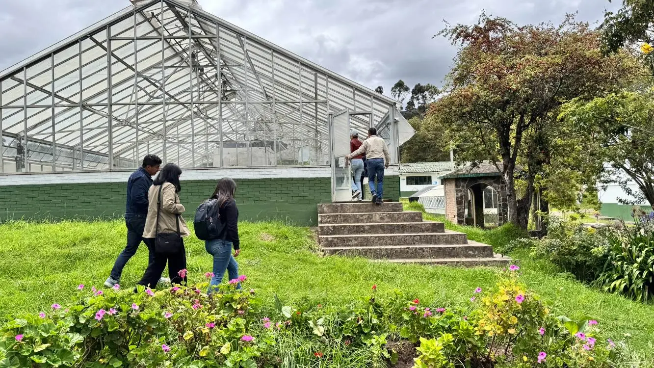 AGROSAVIA Vecol2 Fotor Webp