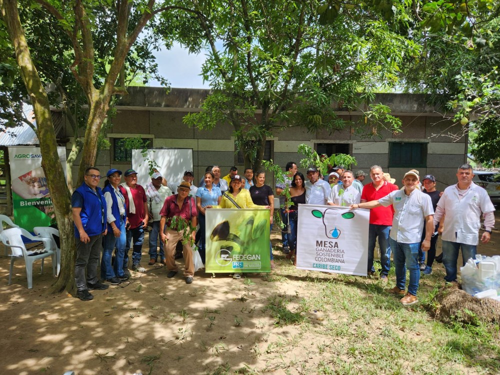 Orientaciones desde La Mesa de Ganadería Sostenible Caribe Seco