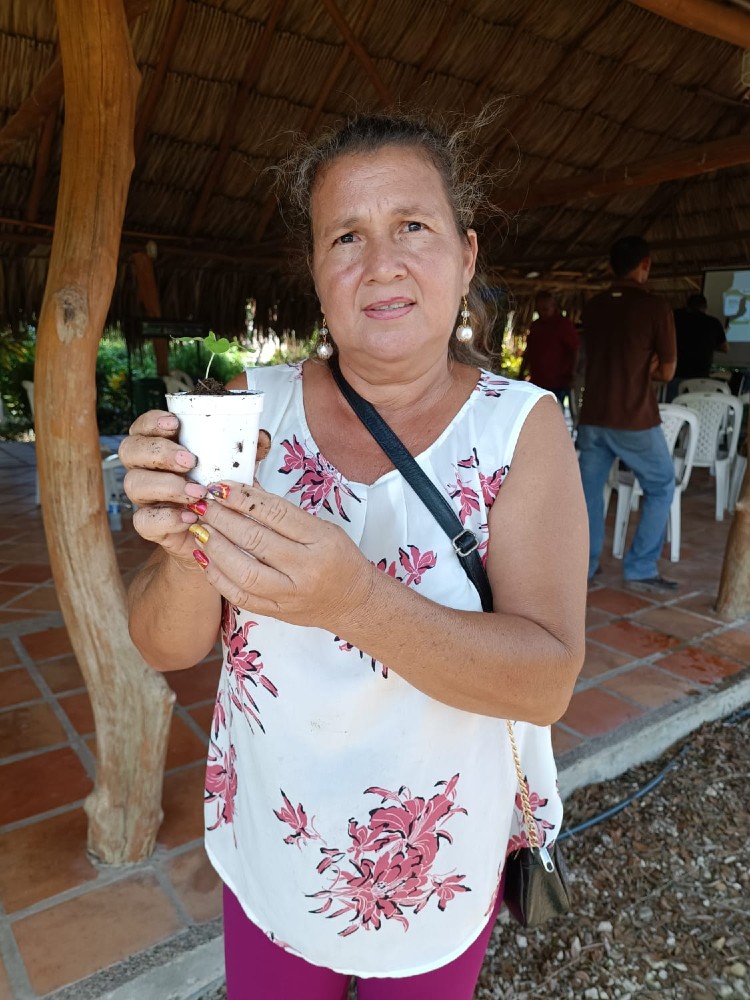 AGROSAVIA Impulsa Variedades De Berenjena En Magdalena Y Atlántico8 AGROSAVIA