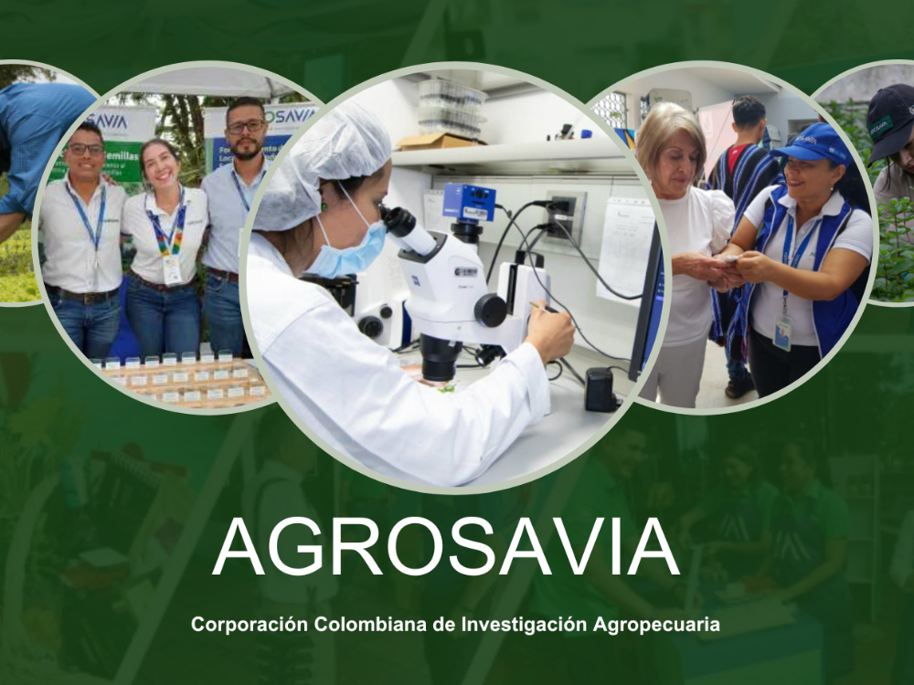 AGROSAVIA en el Ranking SCIMAGO de instituciones de investigación