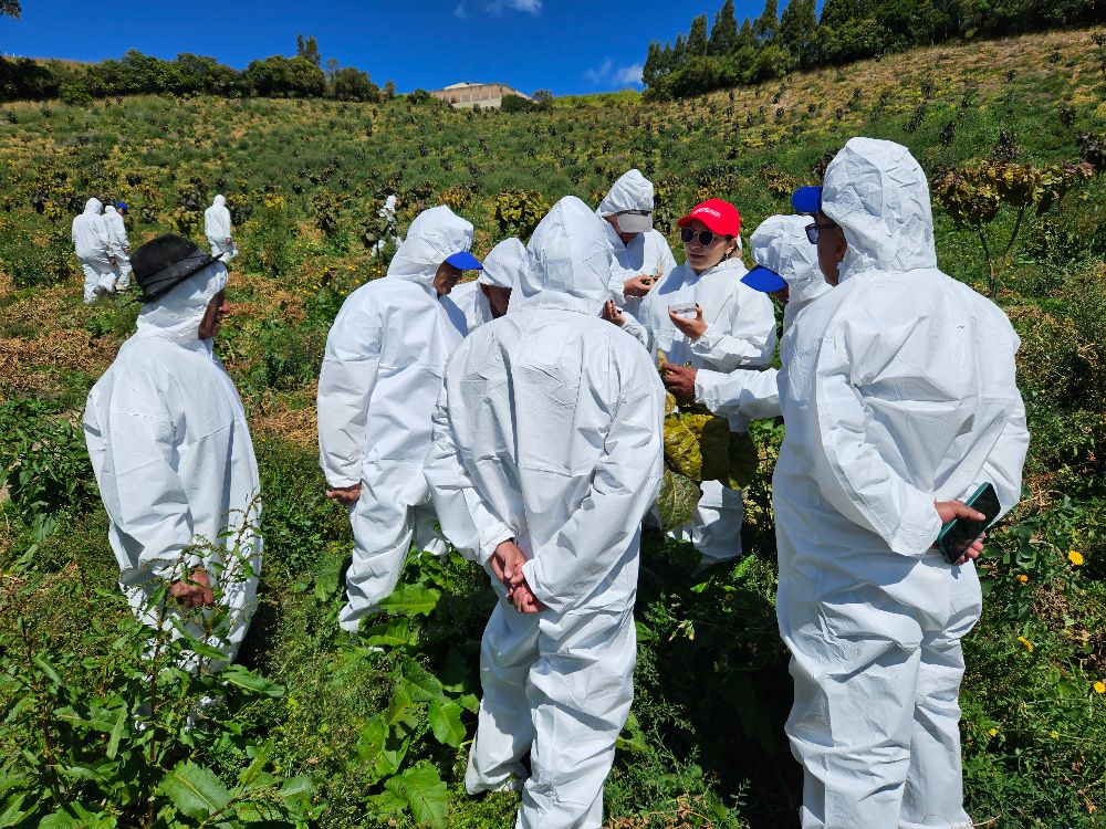 Jornada de actualización en el complejo punta morada. Alianza AGROSAVIA e ICA
