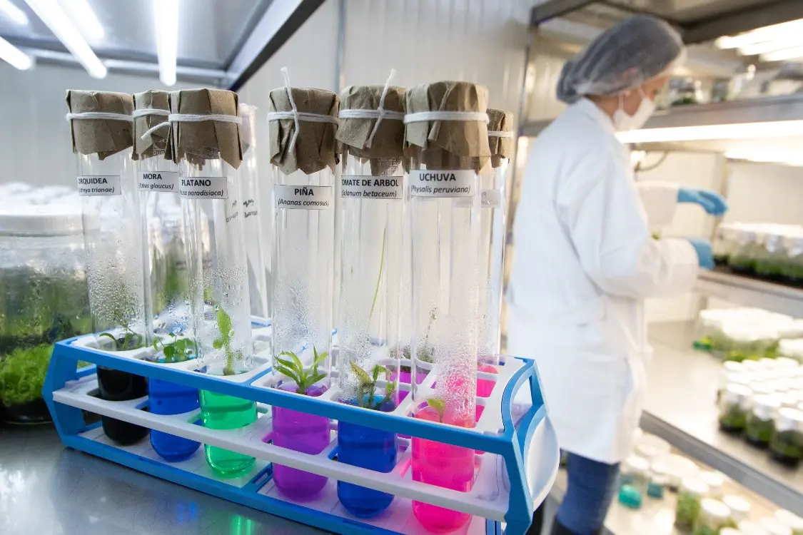 AGROSAVIA fortalece su presencia en el ranking global SCImago