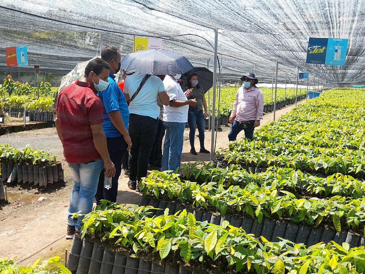 Diez firmantes del acuerdo de paz conocen la Oferta Tecnológica de AGROSAVIA