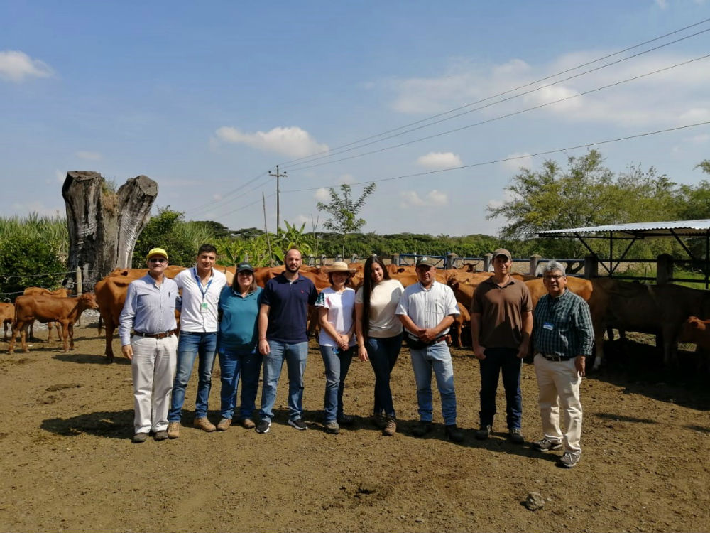 Proy Hartonvalle 2020 4 AGROSAVIA