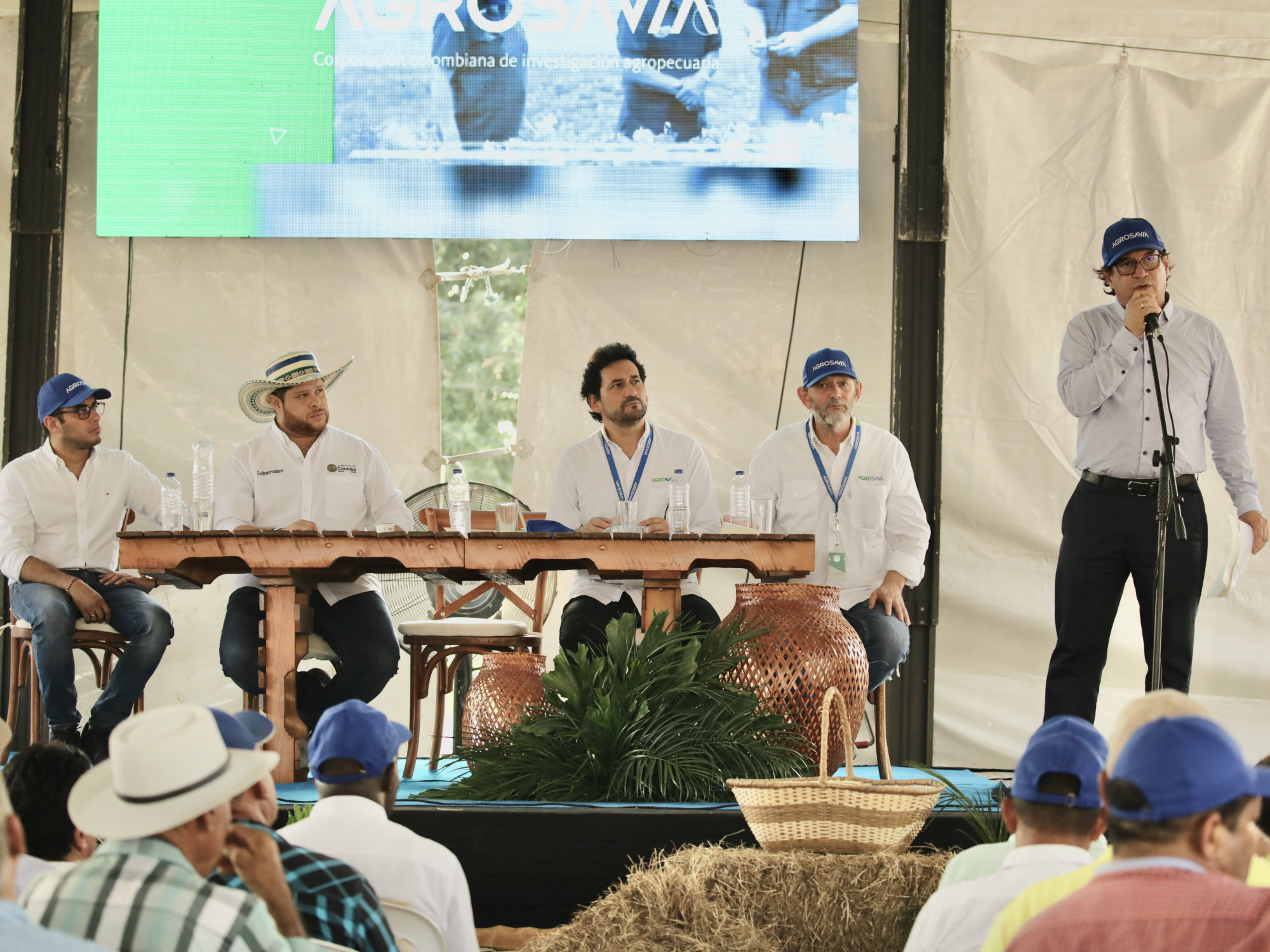 MADR y AGROSAVIA trabajan por alternativas para alimentación en épocas críticas