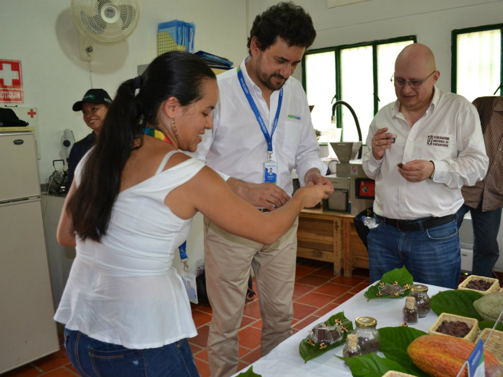 AGROSAVIA y FEDECACAO trabajo articulado por los cacaocultores