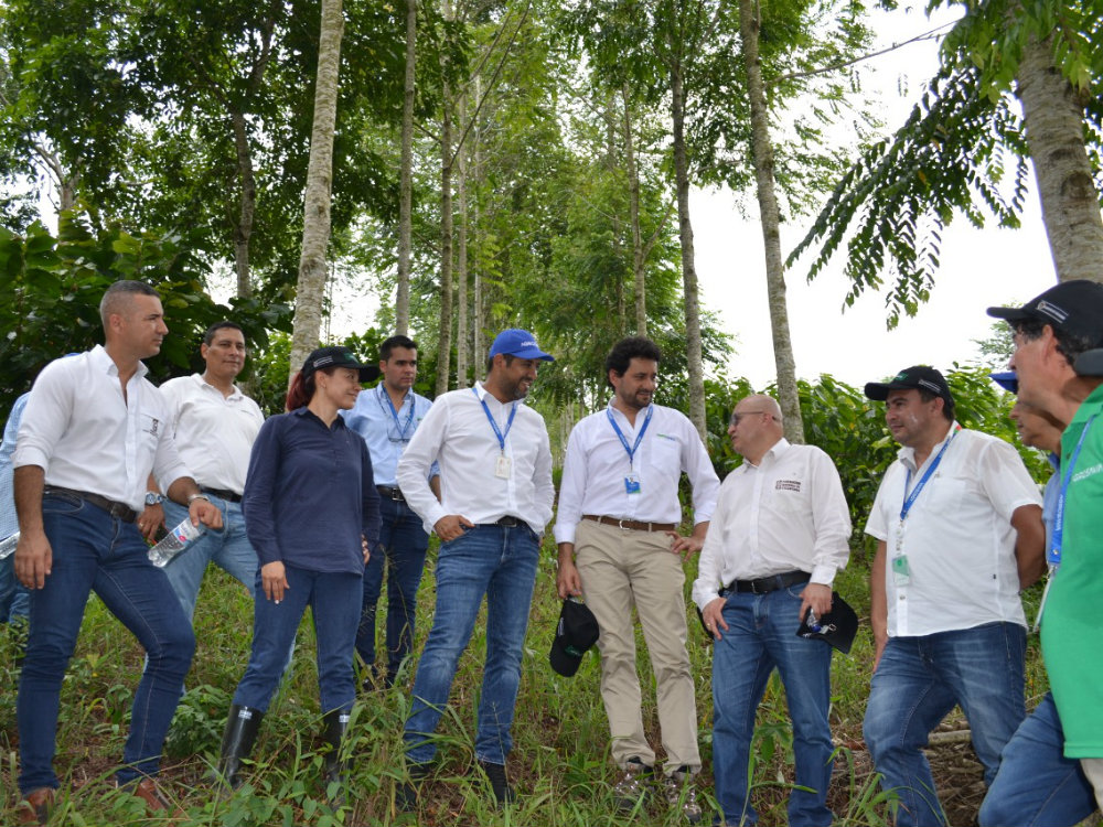 AGROSAVIA FEDECACAO3 AGROSAVIA