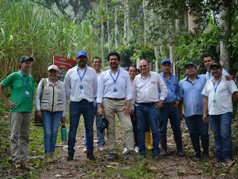 AGROSAVIA FEDECACAO5 AGROSAVIA