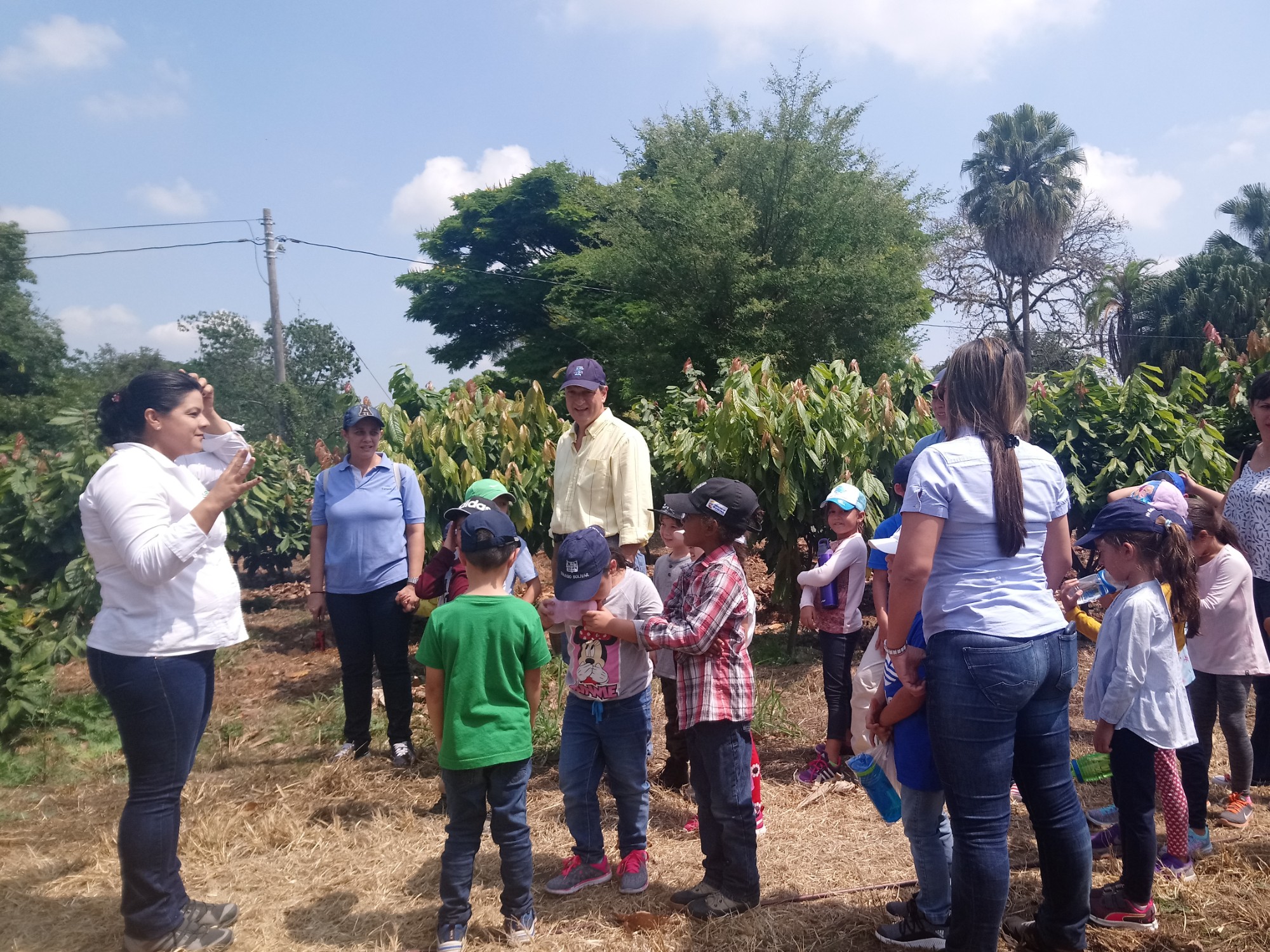 El Chocolate Y Su Historia, Conocimiento Al Alcance De Todos4 AGROSAVIA