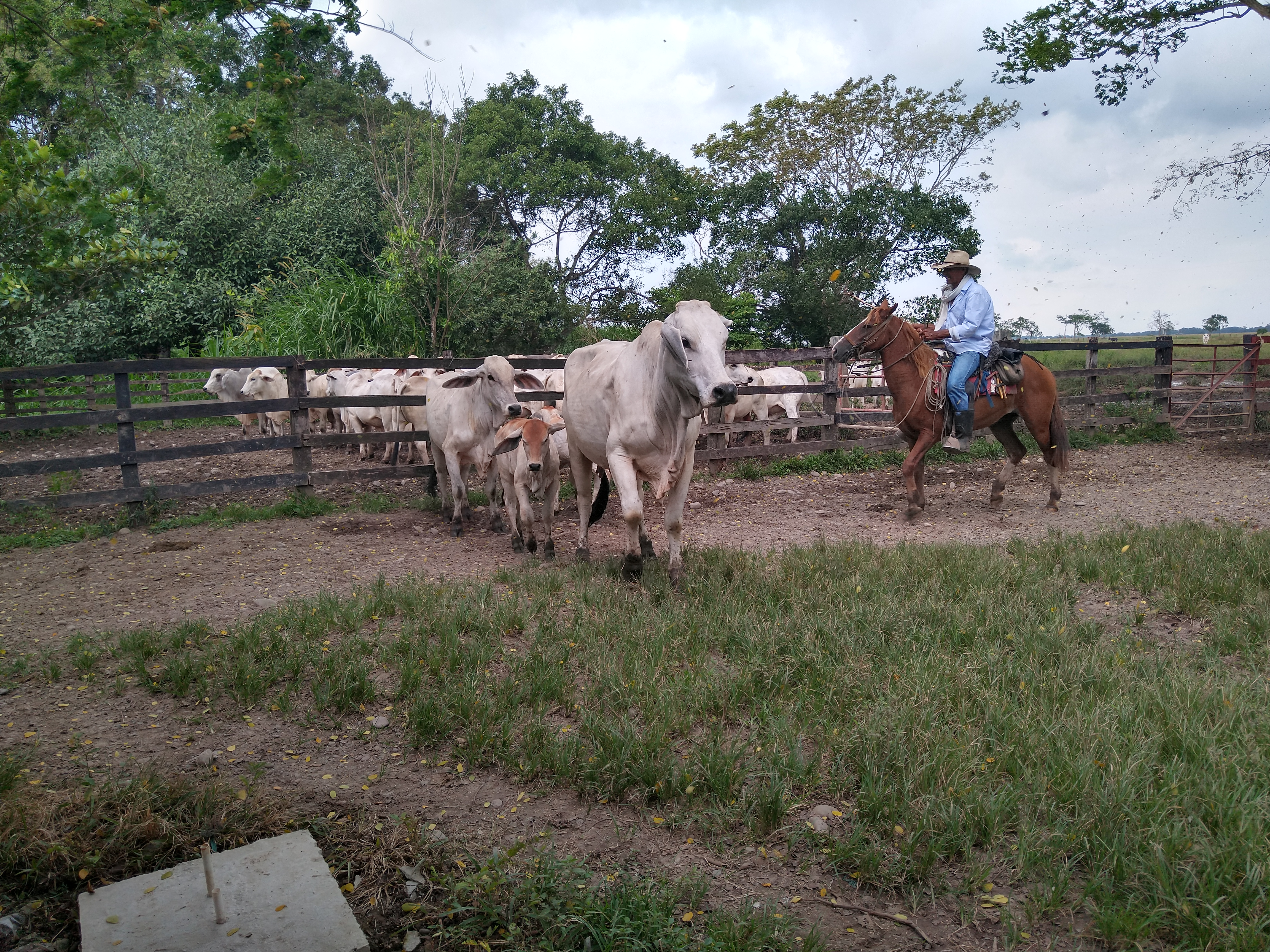 IMG 20190808 132754437 HDR